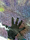 Craft Transparent LV PVC Fabric For Handmade Handicraft Goods By Yard